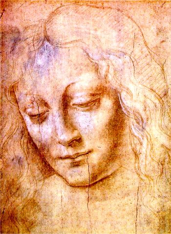 Leonardo da Head of a Young Woman
