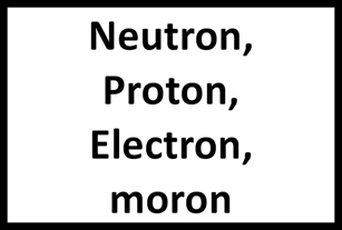 March for Science sign Neutron, Proton, Electron, moron