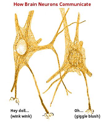 Neurons Communicating