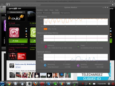 Screenshot of Zorin Linux CPU Usage