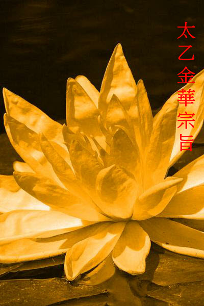 The Secret of the Golden Flower